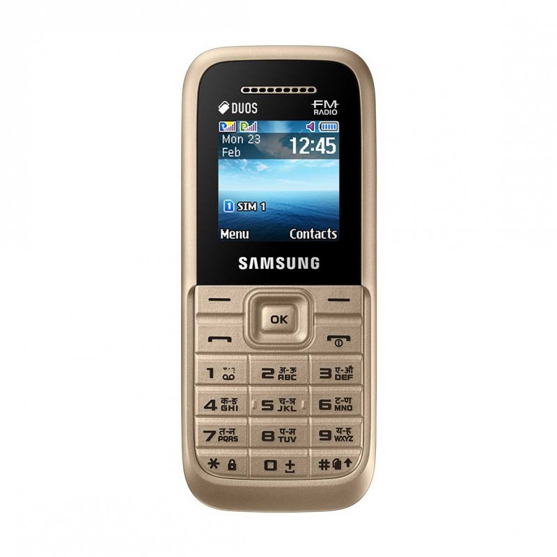 Samsung Guru FM Plus